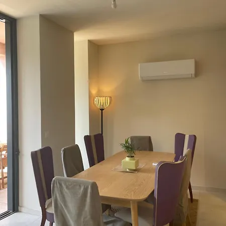 Chai Et Cuve A Vin De 1907 En * Ий-сюр-Те